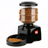 AUTOMATIC PET FEEDER - ALKATEURE COLLECTIONS